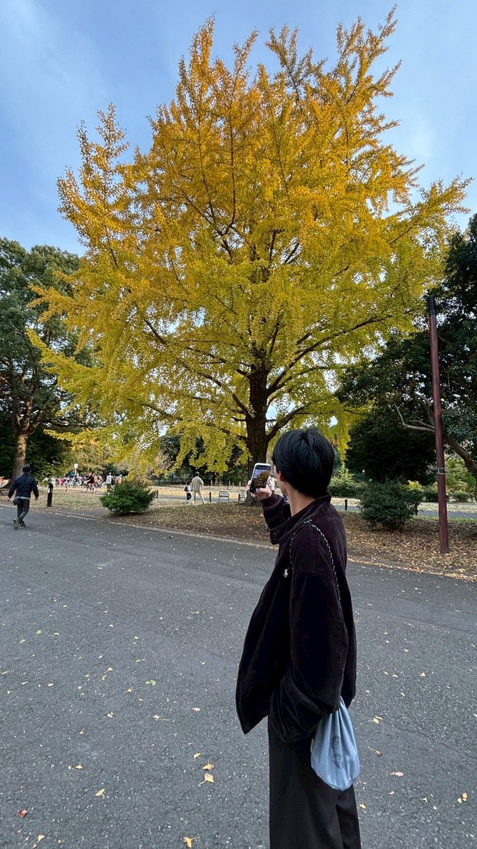 p8opl's tweet photo. 紅葉🍁 https://t.co/OGboBONcLd