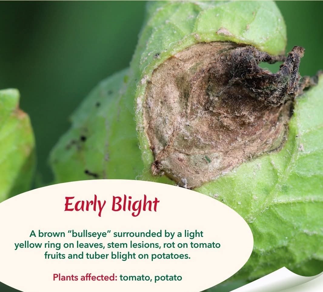 Cynthia Jera tweet media