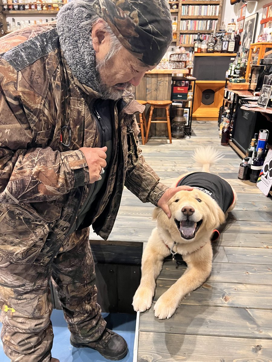 ディッパー tweet media