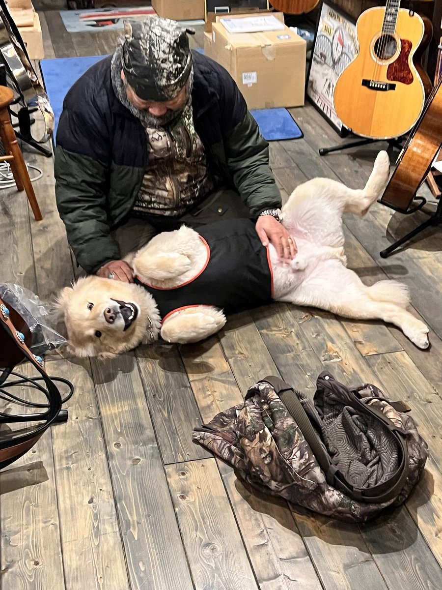 ディッパー tweet media