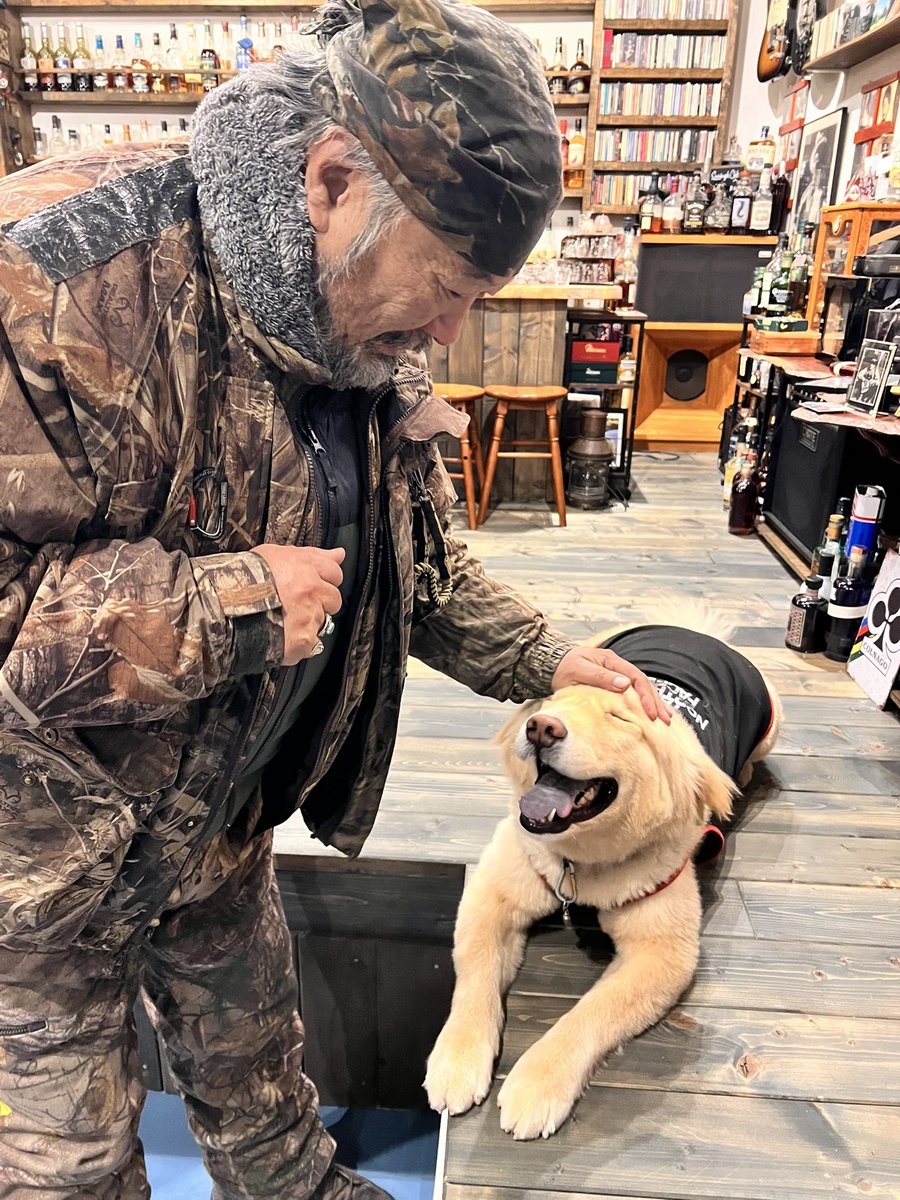 ディッパー tweet media