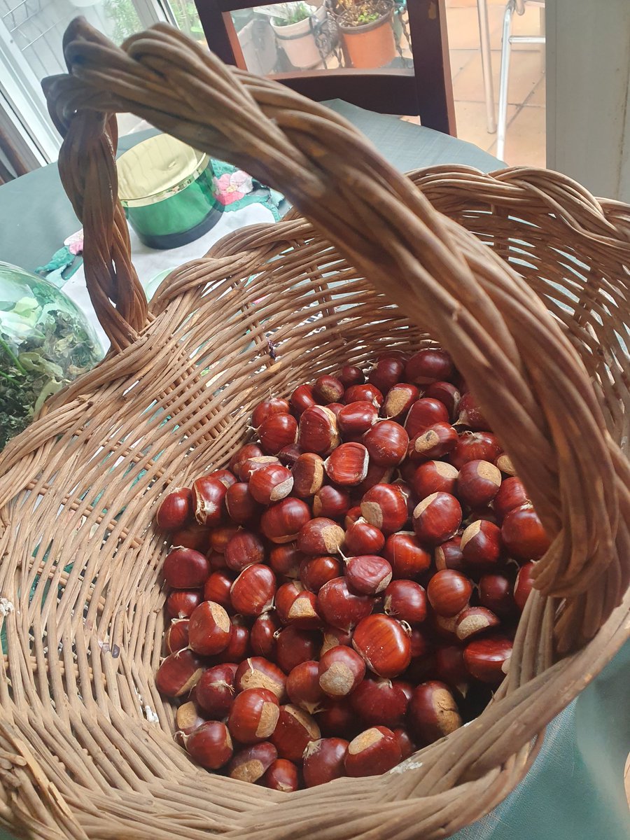 Castañas, chourizos e viño, polo noso San Martiño...
#PatróndeOU