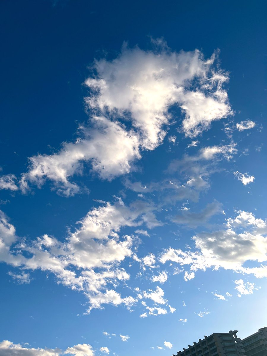 ukq3x's tweet photo. #太陽 #空 #同じ空の下 ＃ファインダー越しの私の世界 #キリトリノセカイ 
#sun #blue #sky #photography #today https://t.co/9rD1XzID13