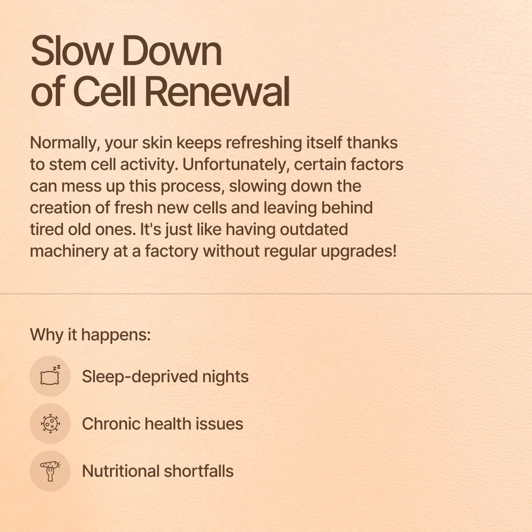 Holiverse tweet media