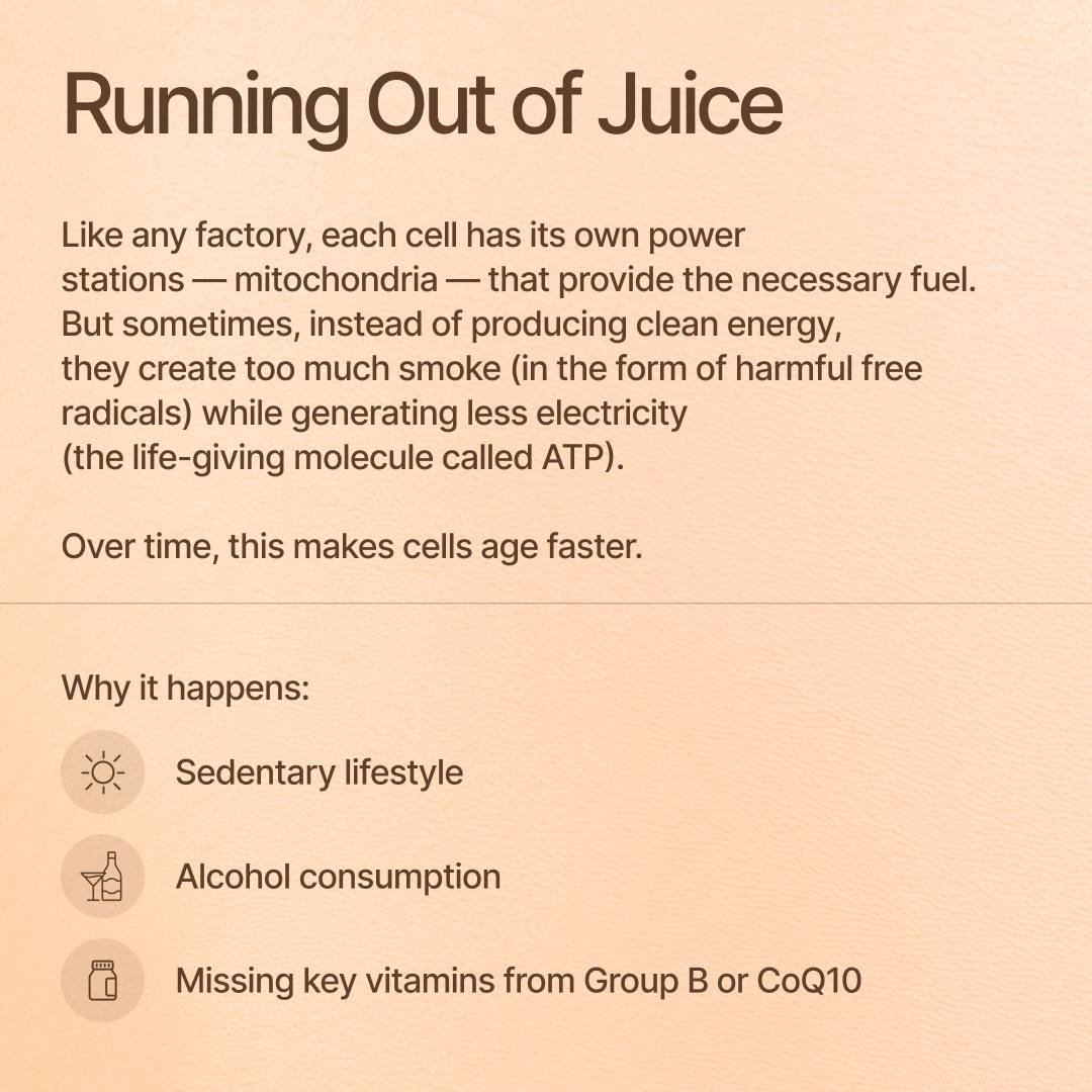 Holiverse tweet media