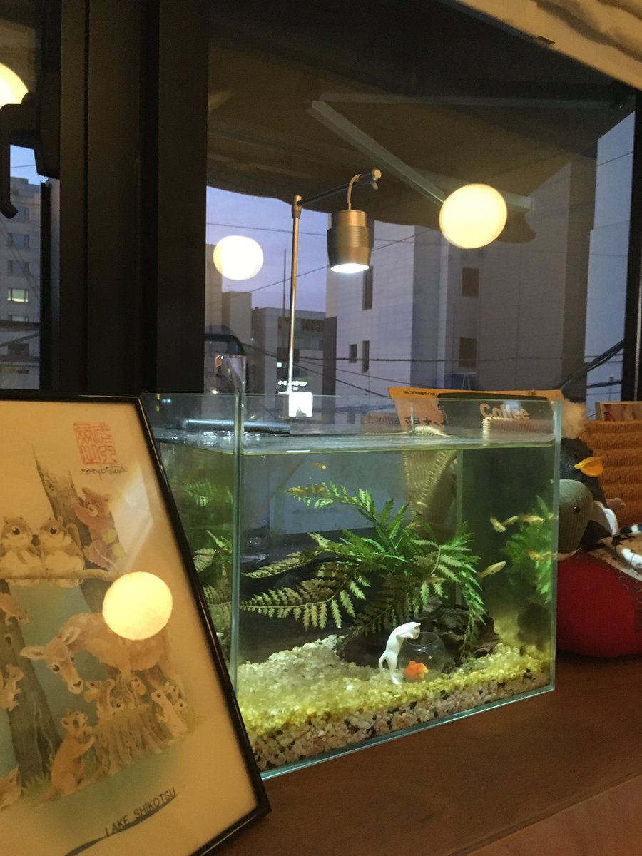 よい.. tweet media