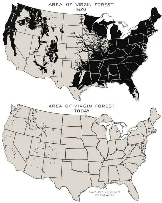 Rainmaker1973's tweet image. Area of the virgin forest in the contiguous US in 1620 vs today.