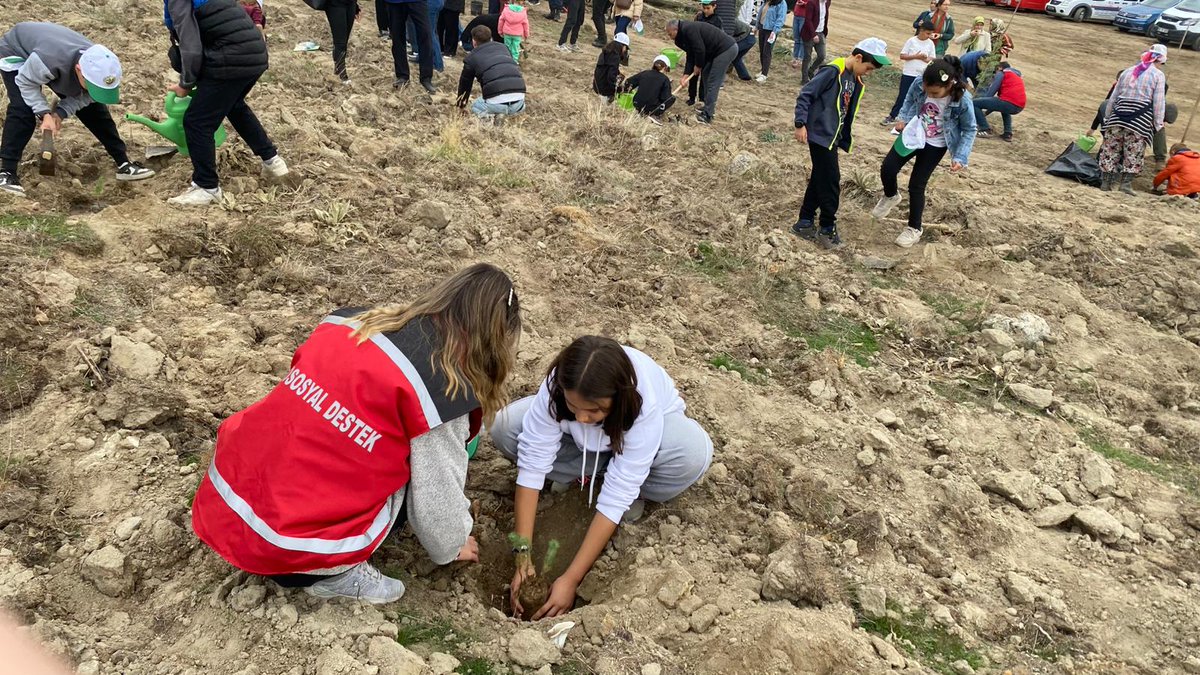 🌳11 Kasım Milli Ağaçlandırma Günü’nde Fidanlar Toprakla Buluştu!

Demirci Sosyal Hizmet Merkezimiz olarak, ailelerimizle birlikte 11 Kasım Milli Ağaçlandırma Günü etkinliklerine katılım sağladık.💚