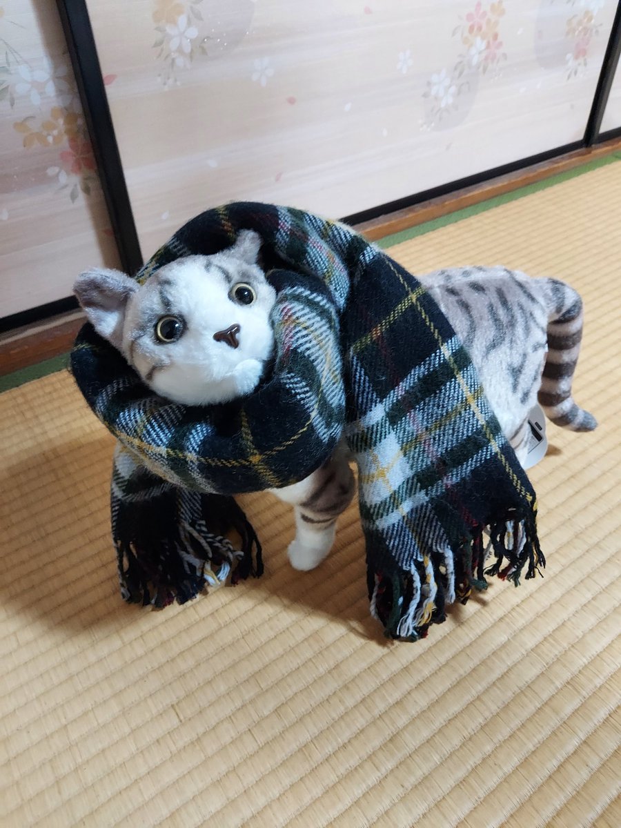 影山豊 (@ADtnnPdI8DphK4X) / Posts / X