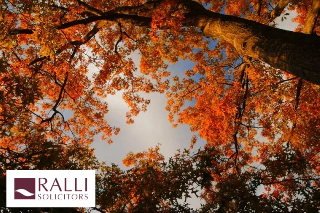 Want to reward your team and secure your legacy? Discover how an Employee Ownership Trust (EOT) can help you sell your business for the employees’ benefit. Learn more on our website: ralli.co.uk/practice-areas… 

 #EOT #BusinessExit