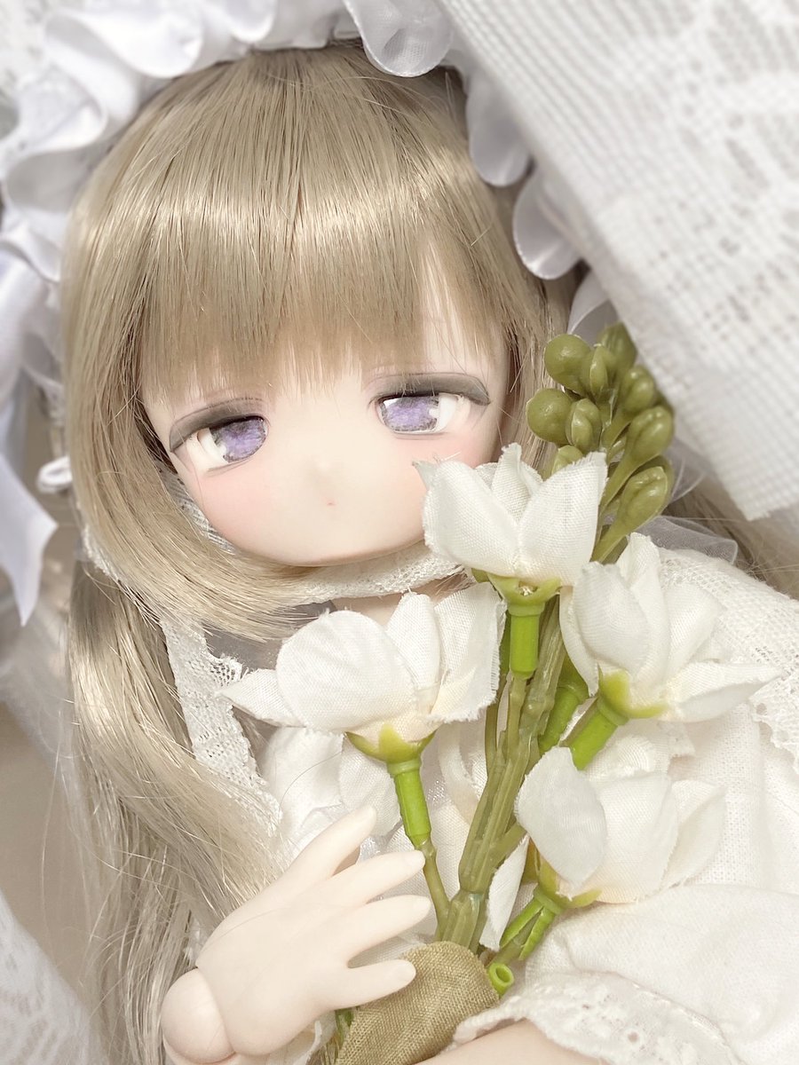 ⟡꒰ঌ しらゆき ここ ໒꒱⟡.· (@shirayuki__doll) / Posts / X