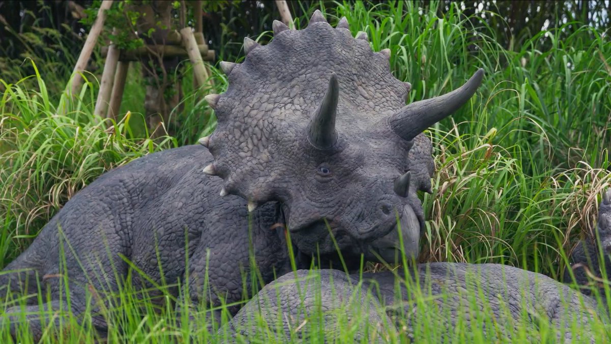 ／
スリルやスピードではない
もう一つの“恐竜との出会い方”
＼

ダイナソー サファリの草食恐竜エリアで悠々とした時間を生きる恐竜たち

アンキロサウルスの穏やかな眼差し。仲間に寄り添い身を休めるトリケラトプス
風が葉を揺らし、遠くで低く響く鳴き声に、命の息遣いを肌で感じます