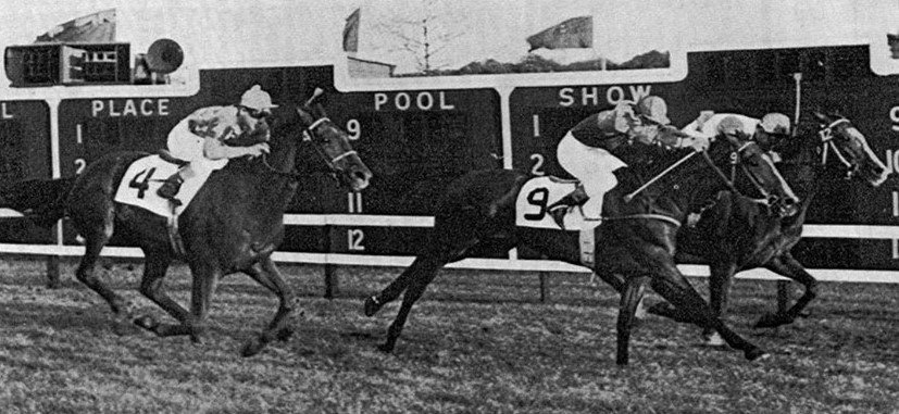 blindadosalas1's tweet photo. #Hipismo El 11/11/1955 EL CHAMA 🇦🇷 con RAÚL BUSTAMANTE 🇨🇱 y PRÉNDASE 🇦🇷 con el #Colorao ÁNGEL GUTIÉRREZ 🇻🇪 hicieron (1-2) en el #WashingtonDCIntl en #LaurelPark Primera hazaña hípica internacional para Venezuela, pues ambos purasangres hacían campaña en el inolvidable #ElParaíso https://t.co/vi94MatrLf