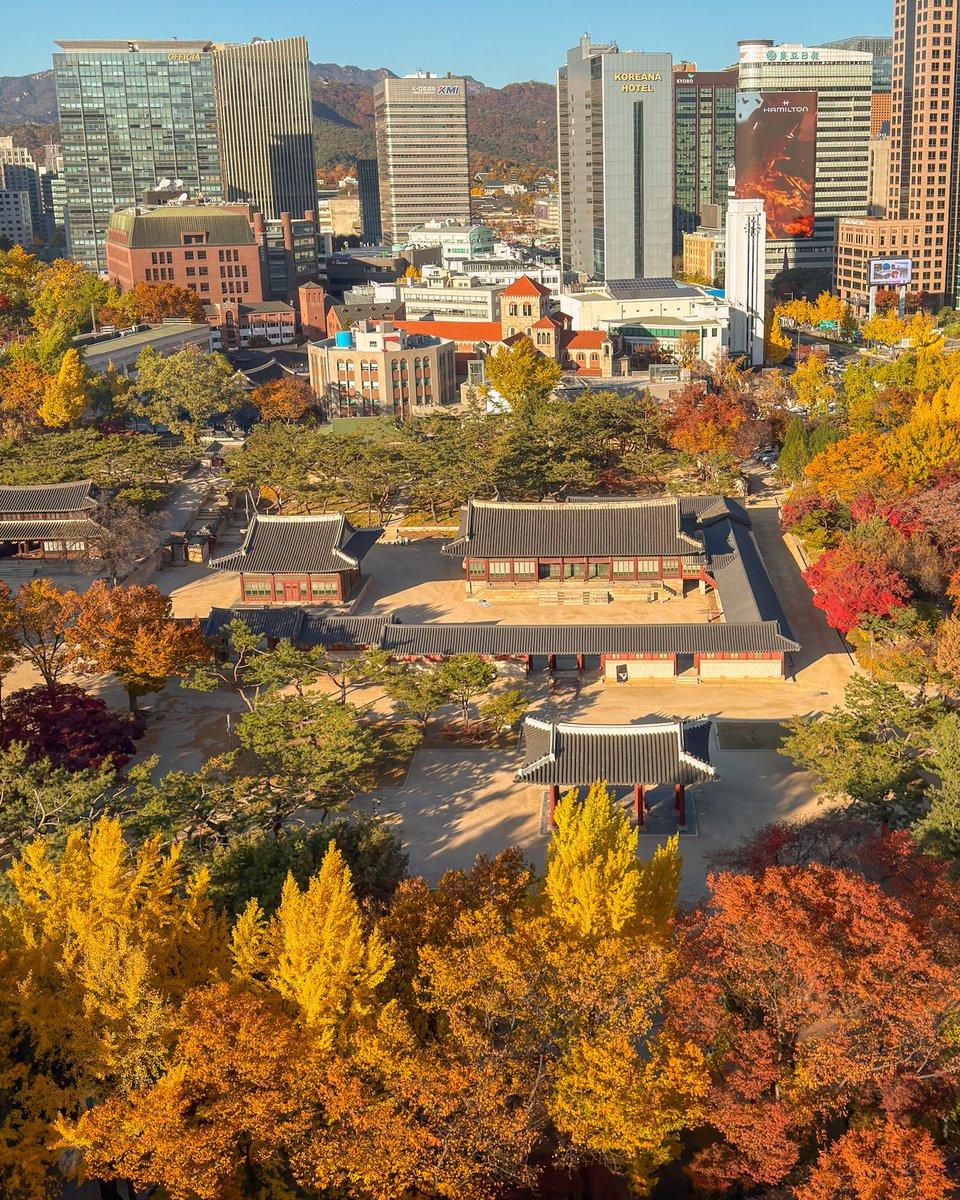 hello dongwon tweet media