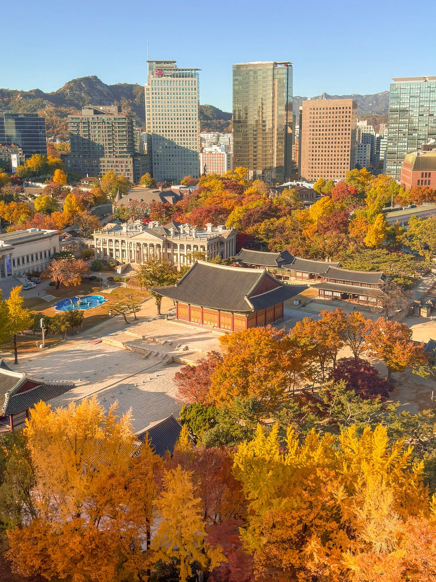 hello dongwon tweet media