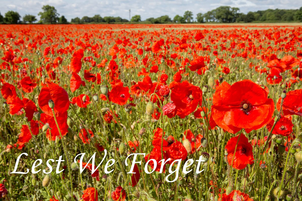 Lest We Forget

#ArmisticeDay #RemembranceDay #LestWeForget