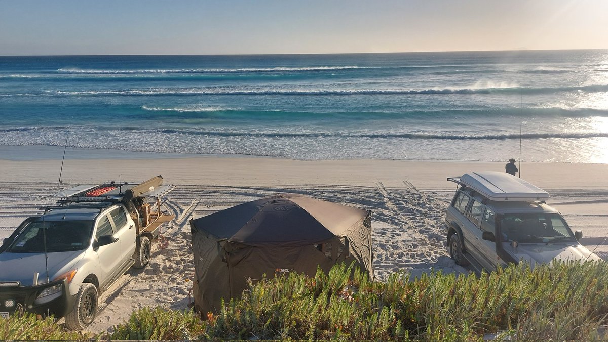 roger brown tweet media