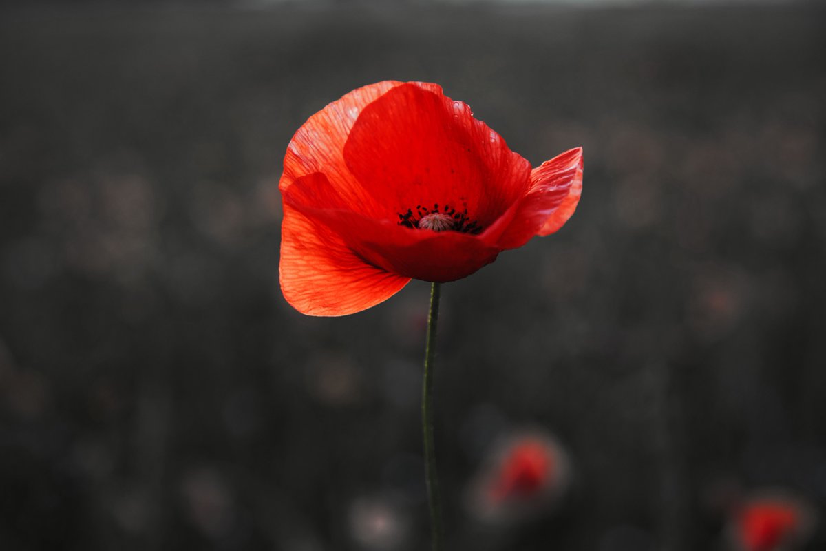 Today, we remember and honour the heroes who made the ultimate sacrifice for our freedom. We will remember them.
