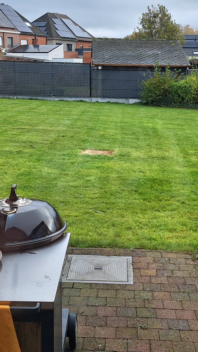 why does my garden look like there's one dirt block which hasn't turned into grass yet