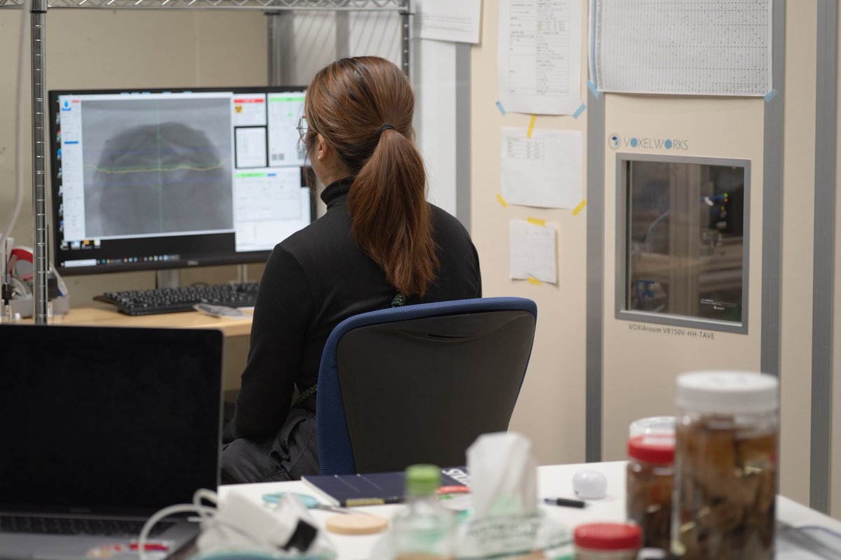 有限会社ホワイトラビット tweet media