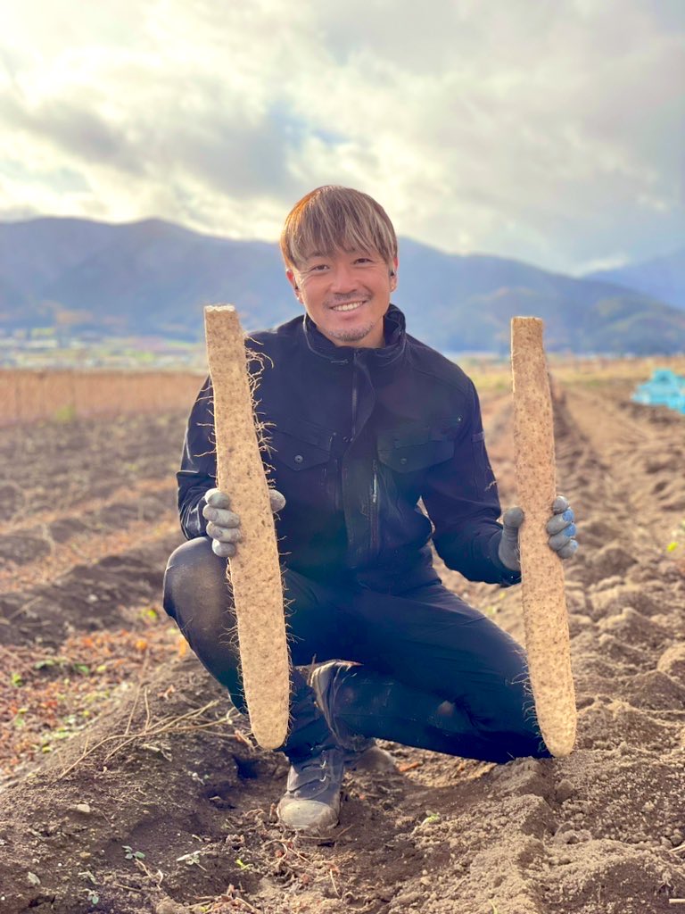 hiro19860317's tweet photo. 今年も長芋のシーズンが来ました‼️
10月30日の解禁日から毎日掘りまくってます❗️👍
今年も美味しい長芋を食べてみてください😊
昨日よりBASEの予約注文を承ってます🙇
お歳暮にも喜ばれる一品となってますので是非よろしくお願いします😄😄😄

https://t.co/Kx85xR9O6Z https://t.co/JBKG0un6RA