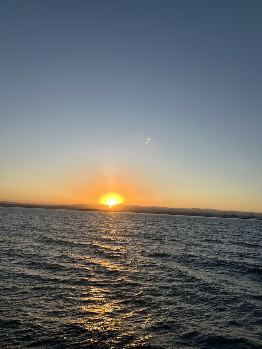 Dr. Bob Davies, President Emeritus and Professor tweet media