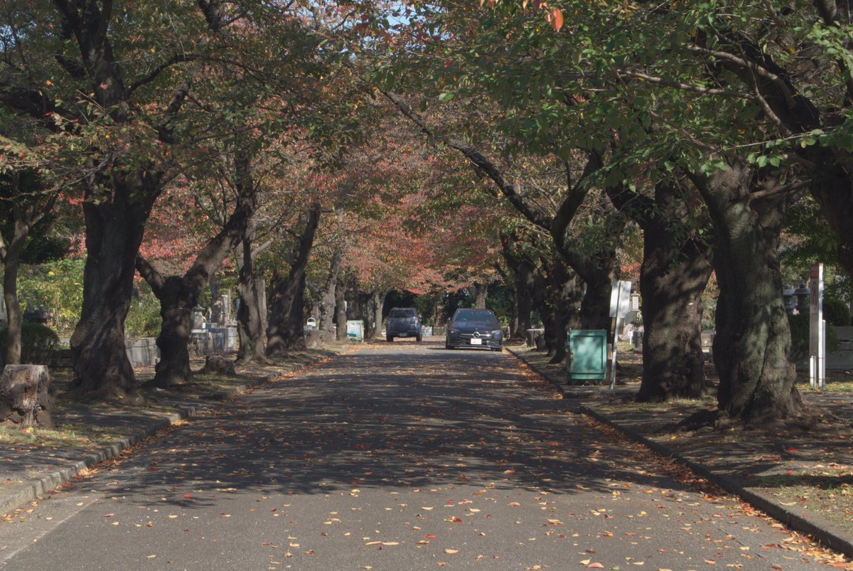 koyatenn@LaserDisc Digital Archive Project💿📂 on X