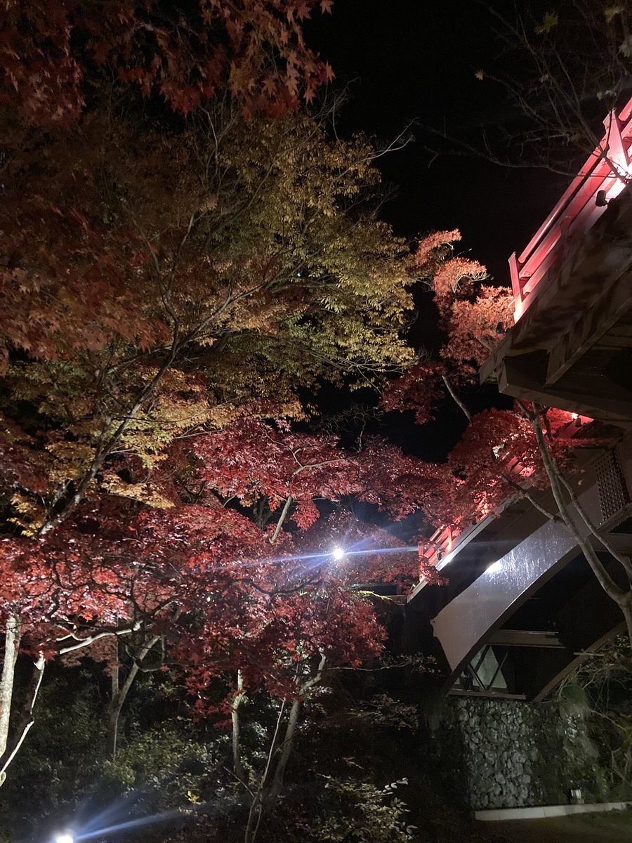 no_deri's tweet photo. 秋ですね〜🍂 https://t.co/I17xEVddGh