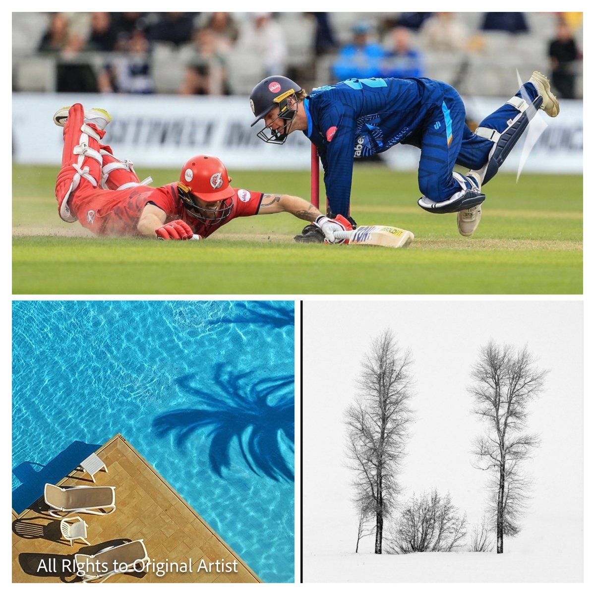 Congratulations to all entrants and in particular our winners of part one of our 2025 DPIOTY competition. Amazing images amongst a strong cohort of entries from our members.All images are available to view at our website smcc.org.uk .
Join us next Monday for part two.