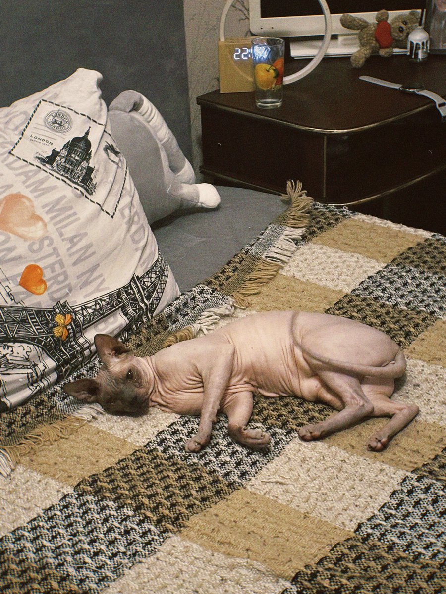 сегодня день рождения 
сегодня 5 лет