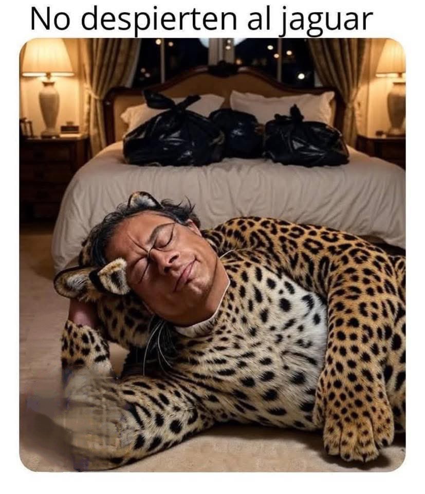 DanielSamperO's tweet image. No despierten al jaguar sino despuecito de las cuatro de la tarde, como la última vez… 

Nos vemos en #ElPetroVerso, últimas boletas de noviembre:

latiquetera.com/comprar/20514/…