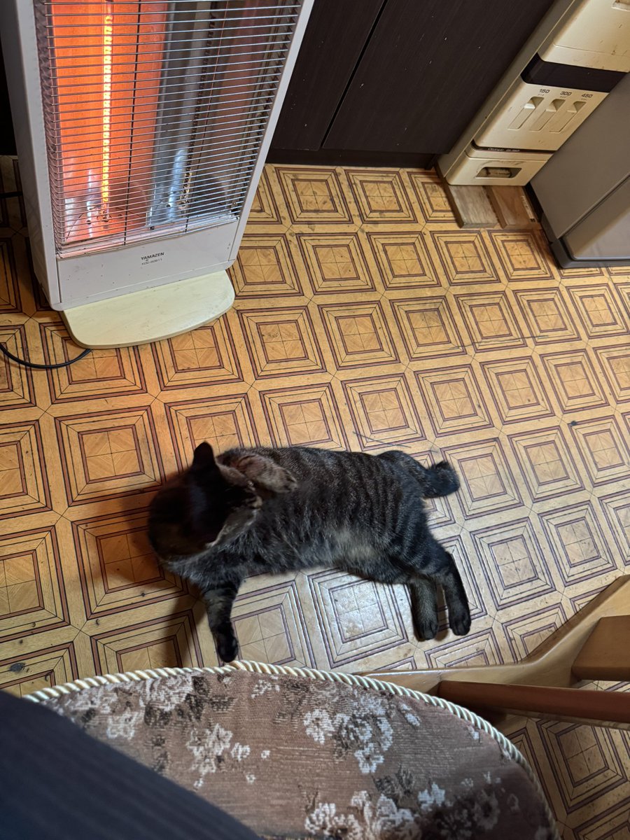 可燃ごみづき on X