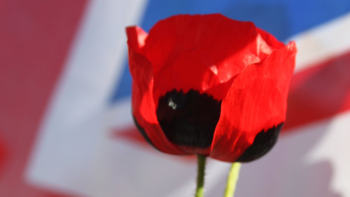 We remember those who served and sacrificed for our freedom, and reflect on the strength and innovation that have long defined British industry.
#RemembranceDay #LestWeForget #ukmfg 🌹
hybond.org.uk
