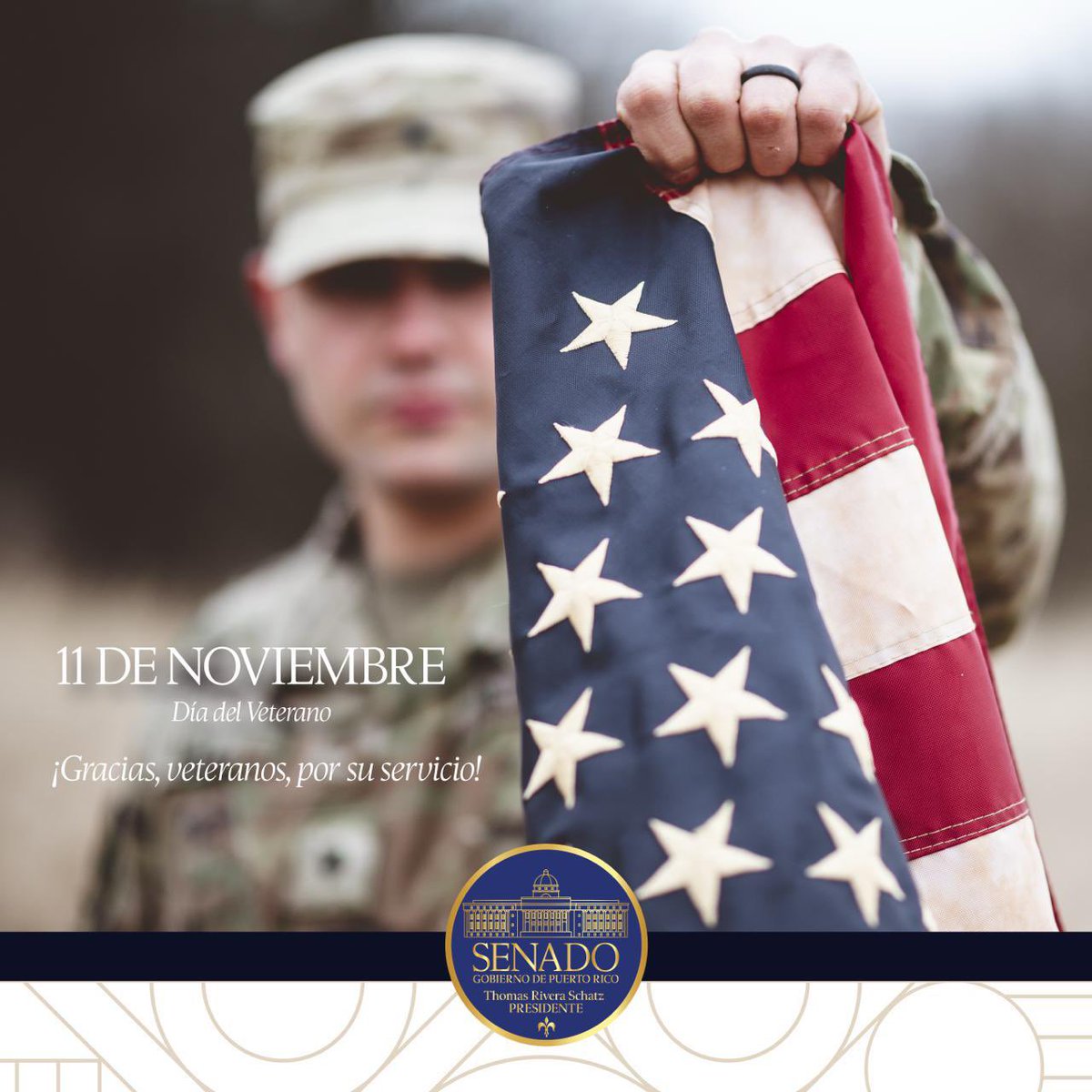 DiaDeLosVeteranos\, image size:1200x1200