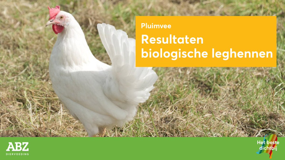 ★ Resultaten biologische leghennen ★

Het houden van biologische hennen was al nooit de meest eenvoudige tak van sport binnen de pluimveehouderij. Met 100 procent biologisch voer is dat nog een stapje lastiger geworden.

Lees meer: abzdiervoeding.nl/legpluimvee/re…