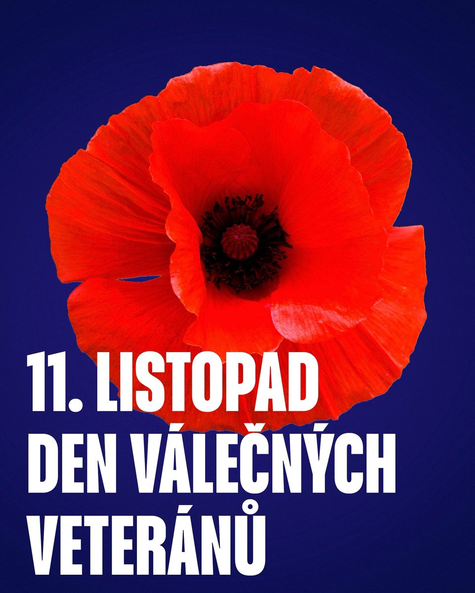 LiborHoppe's tweet image. Dnes si připomínáme Den válečných veteránů – den, kdy vzdáváme úctu všem, kteří nasazovali své životy za svobodu, bezpečí a mír.

Děkujeme všem mužům a ženám, kteří sloužili a slouží.🙏

Nezapomínejme, že mír, ve kterém žijeme, není samozřejmost.🕊️