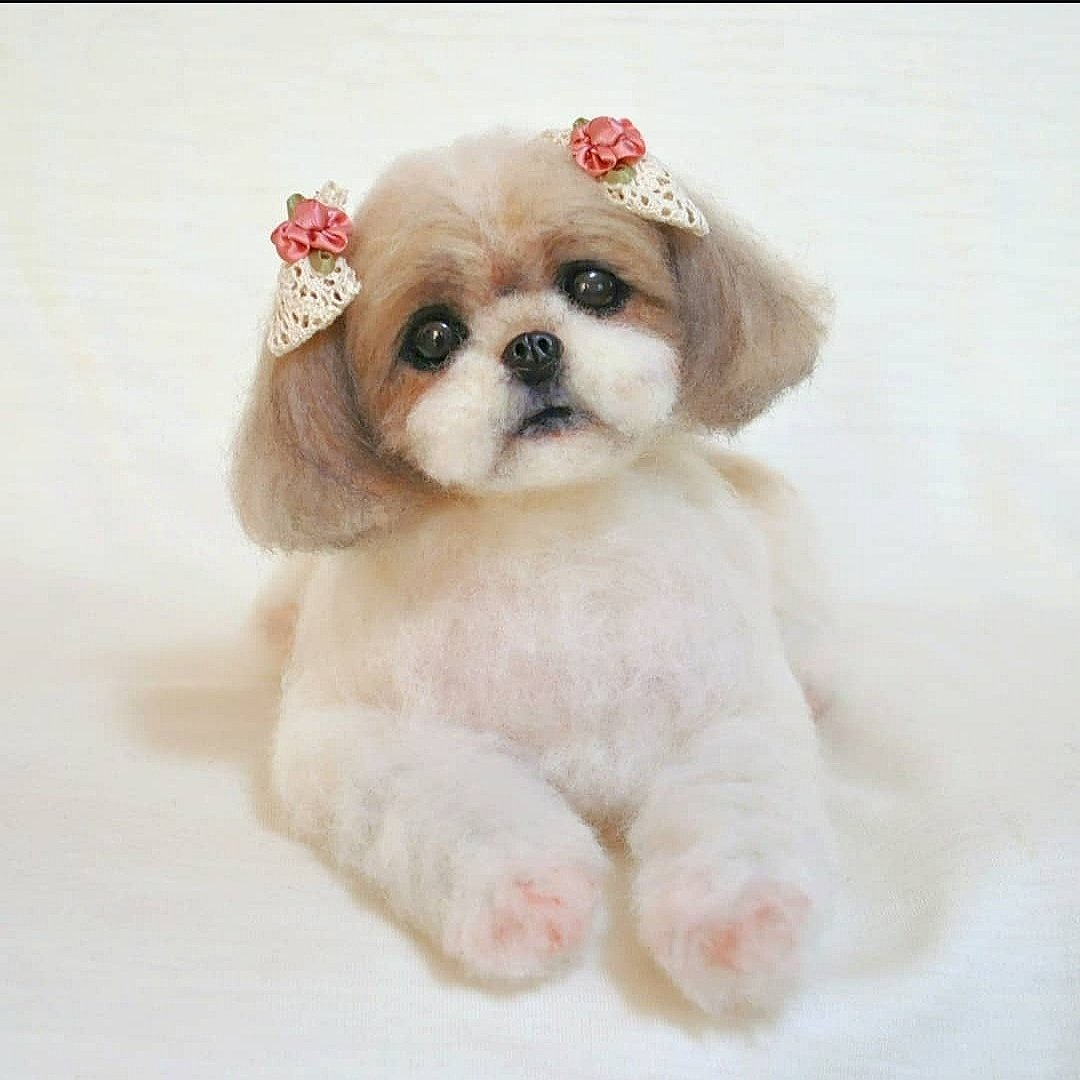 Satoyoumou's tweet photo. 今日は昔飼っていた愛犬コロの命日でした。画像は４年ほど前にコロをモデルに制作した作品。旅立ってから20年以上経ちますがいまだに思い出しては切なくなります。
そして羊毛を始めたきっかけにもなった子です☺️コロのおかげで今までたくさんの出逢いやご縁を頂きました。
#羊毛フェルト
#シーズー https://t.co/Q3WQFo5wor