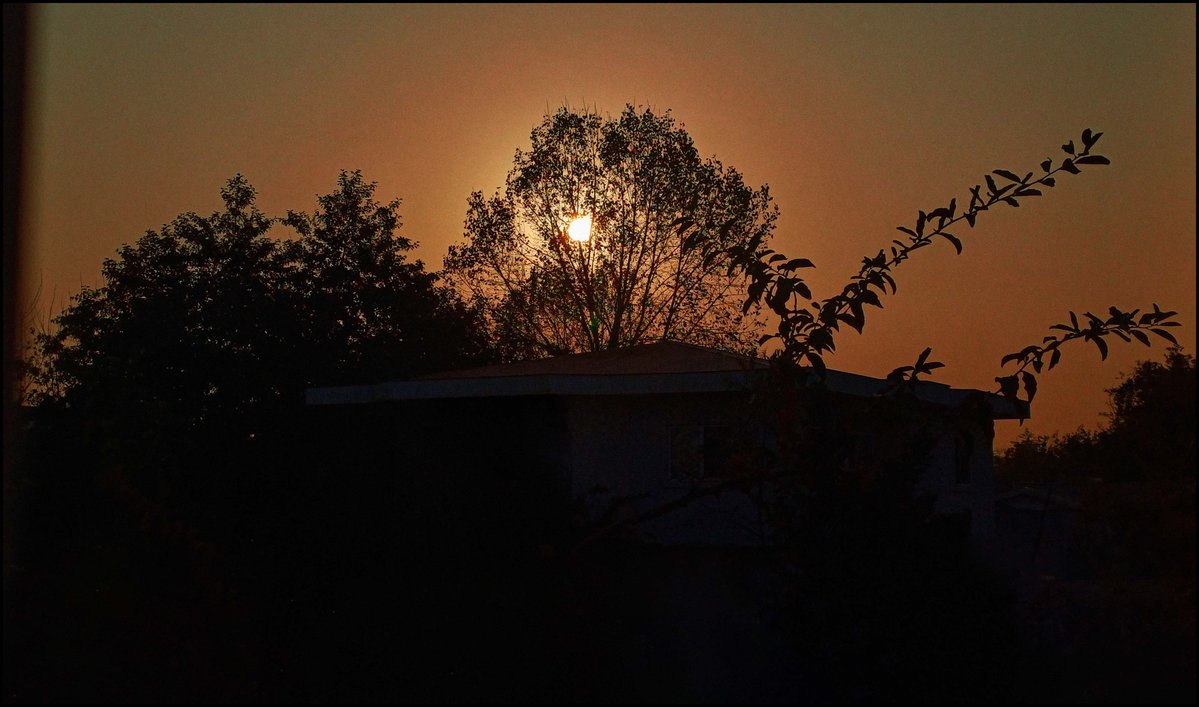 Reza1990Elmi's tweet image. The House of the Rising Sun.

#Legacy #Halo #Contagious