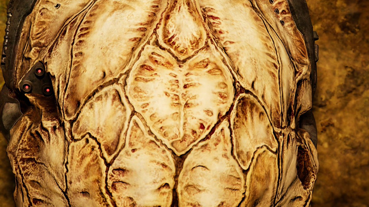 SymbioticYautja's tweet image. I love taking photos of other people’s yautja and Biomask in Predator hunting grounds 
#yautja