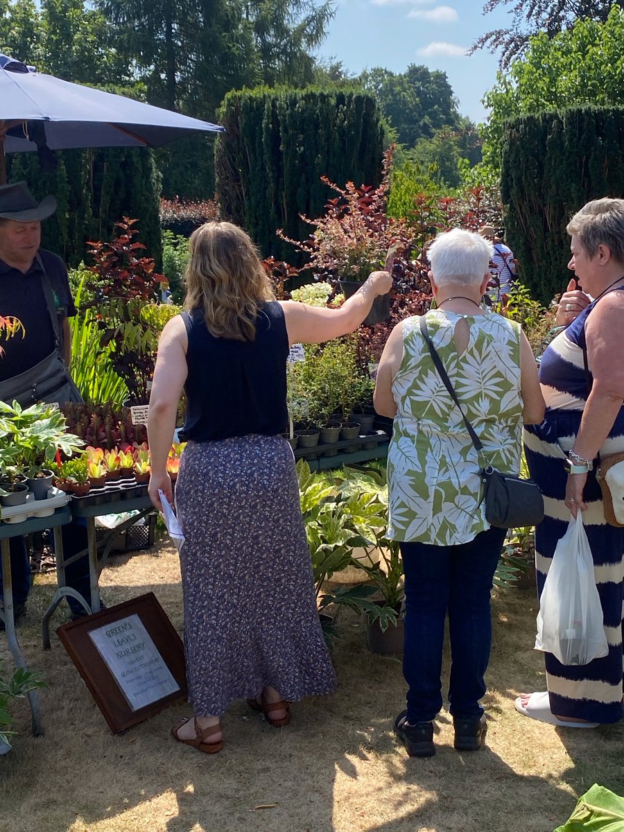 A burst of summer colour from our July 2025 Fair at Winterbourne House &amp; Gardens 🌼  
Thanks to everyone who joined us — we’re already looking forward to returning in 2026!  
#RarePlantFair #WinterbourneHouseAndGardens #PlantFair #Horticulture