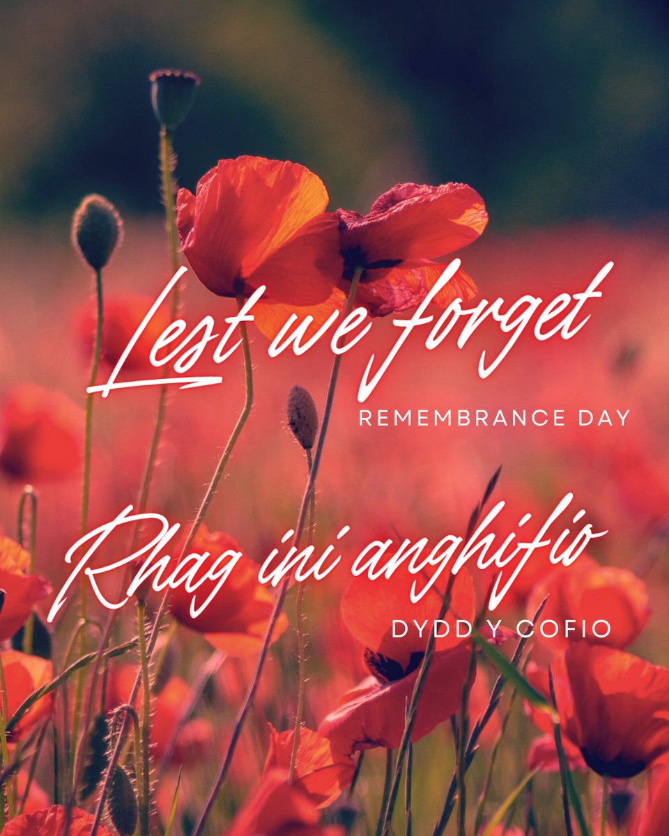syddeestormy's tweet photo. Heddiw rydym yn cofio ac yn anrhydeddu’r rhai a wasanaethodd.  Byth eu hanghofio. 🌺

Today we remember and honour those who served. Lest we forget. 🌺 https://t.co/6tJUmo3Pux