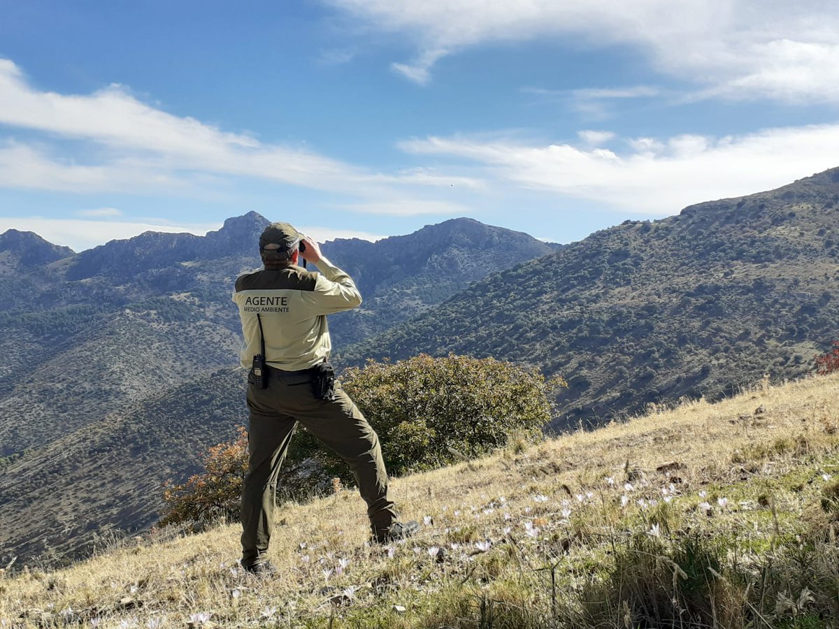 ✅ Avance en digitalización y seguridad
La <a href="/MedioAmbAND/">Consejería de Sostenibilidad y Medio Ambiente</a>  reconoce el uso del certificado electrónico con número de identificación profesional a los #AAMM, garantizando su identidad, seguridad y objetividad en el ejercicio de sus funciones. 🌿
🔗 lajunta.es/62k0g