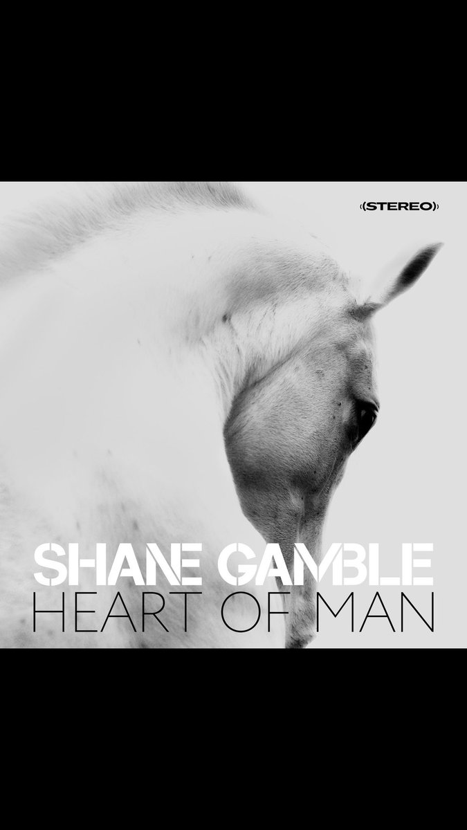 Shane Gamble tweet media