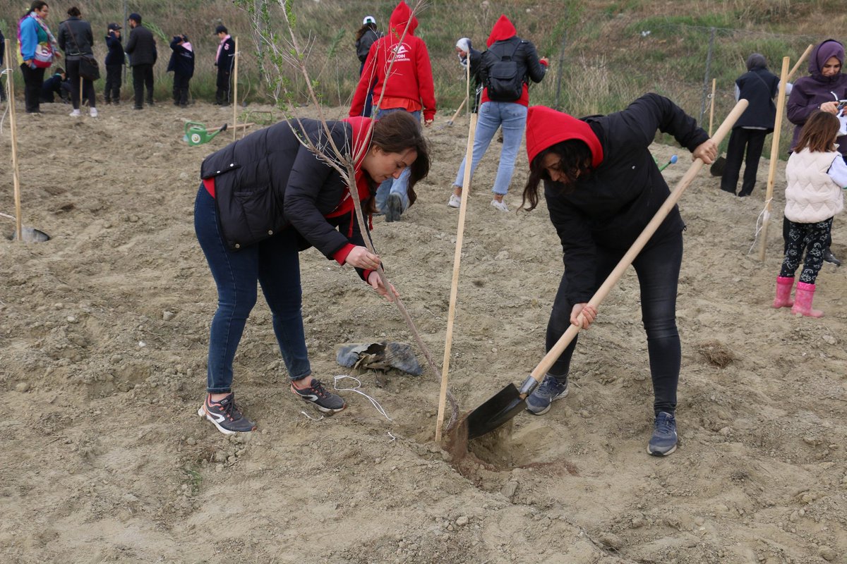 🌳 “Şahidimiz Toprak, İmzamız Fidan, Sevdamız Yeşil Vatan.” temasıyla;

Aydın Gençlik Merkezi olarak, 11 Kasım Milli Ağaçlandırma Günü kapsamında fidanları toprakla buluşturduk. 

#GeleceğeNefes