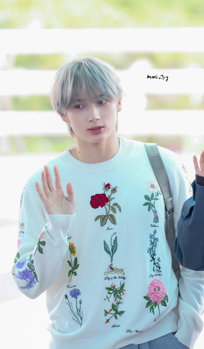 犬とか猫 ࣪𖤐. ⋆* (@lovetxtlovesmg) / Posts / X