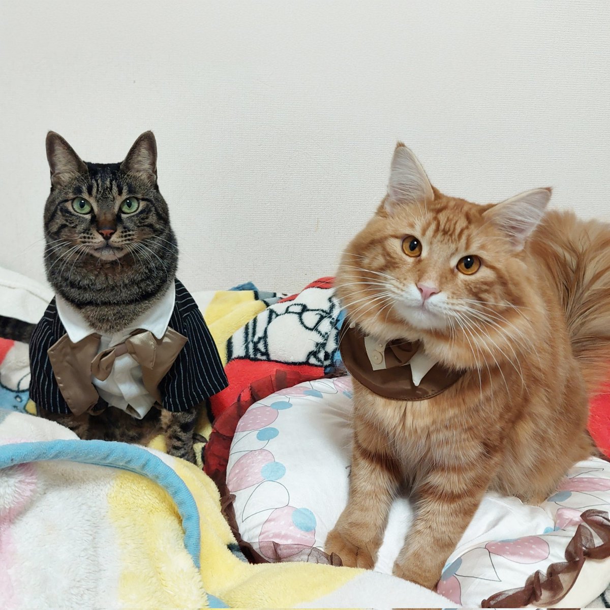 nekoさん専用ページ 千 on X