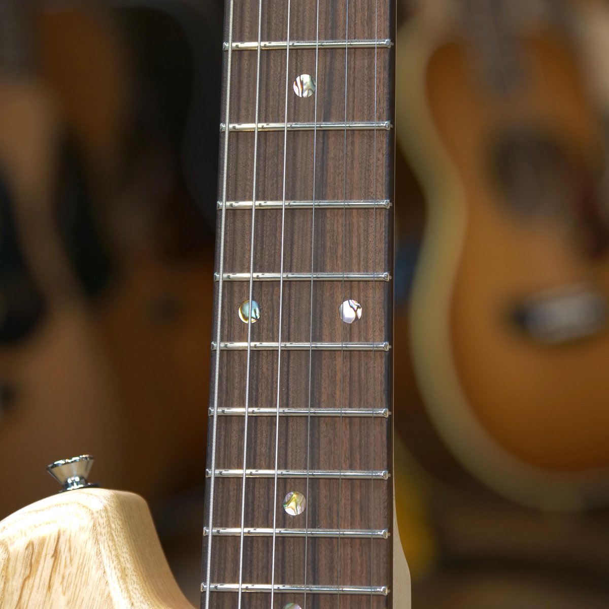 ドルフィンギターズ on X