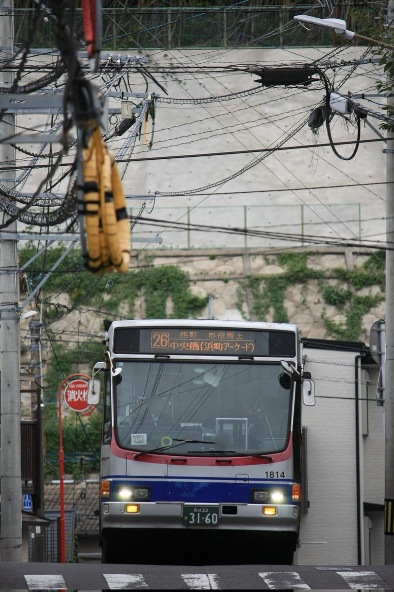 区快四条畷(๑╹ᆺ╹)😈💅✨☃️📜🪶🐙𖤐⡱｡❀·̩͙໒꒱·̩͙ on X