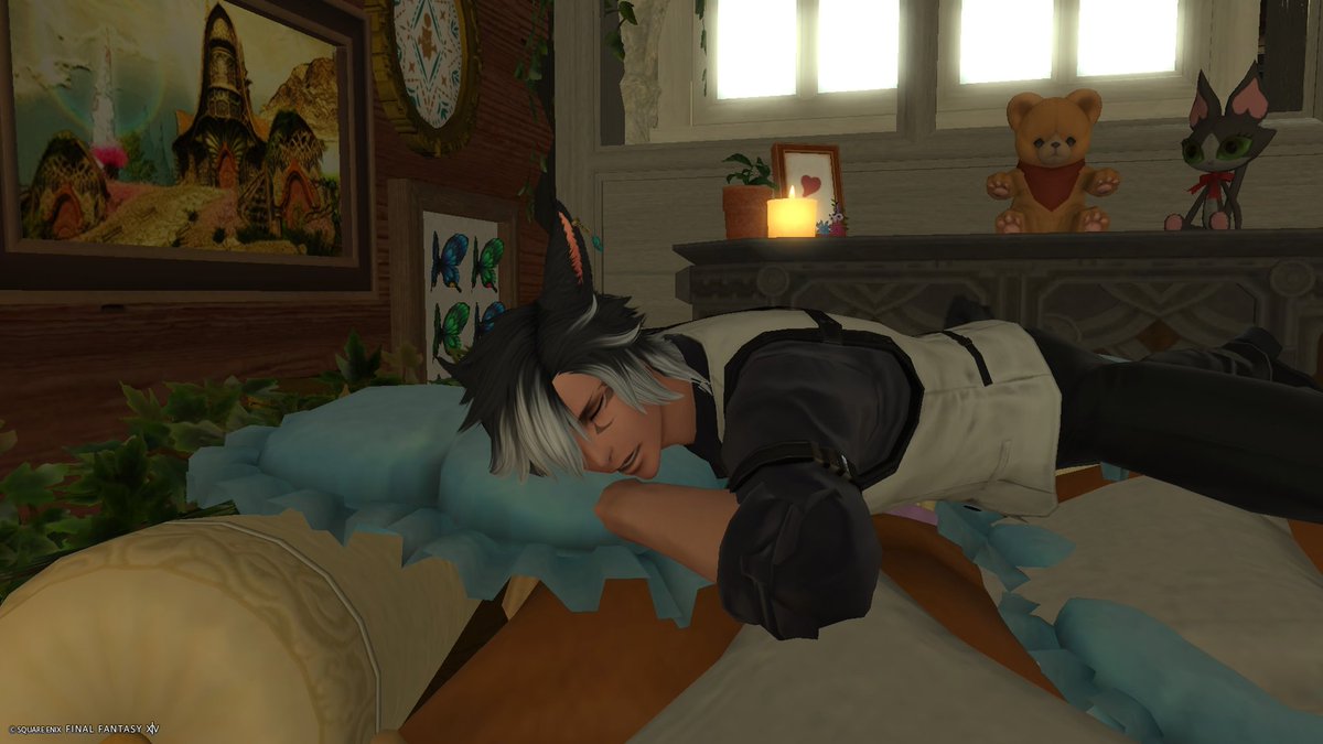 kkkkurona's tweet image. つきとの休日
 #FCひだまりにゃんこ