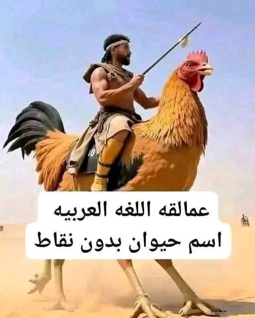 سلمى نور tweet media